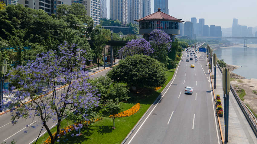 ���I·�����{(l��n)�����ʢ�_���ֺ��z