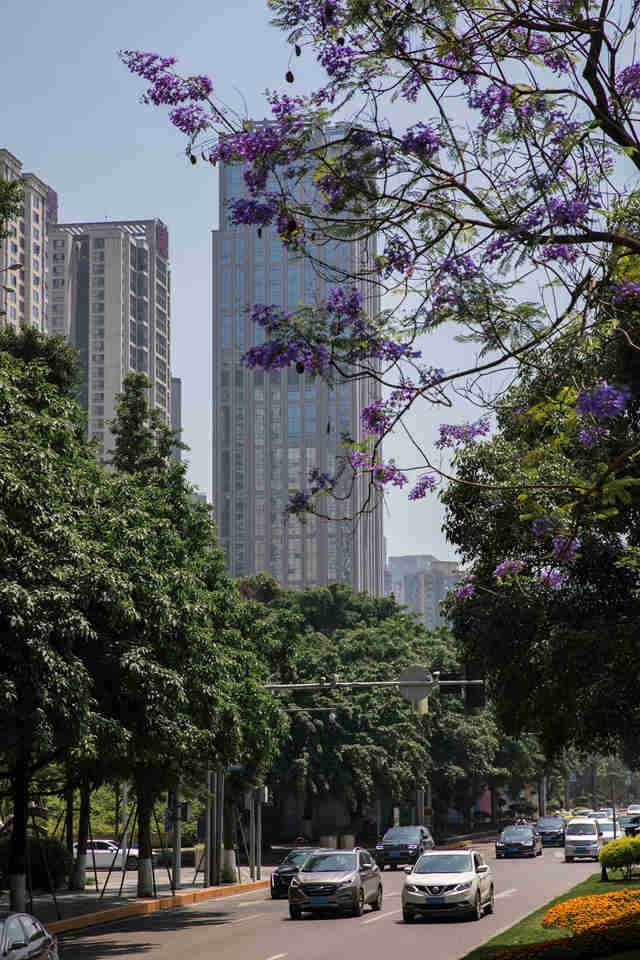 ���I·�����{(l��n)�����ʢ�_(k��i)���ֺ��z