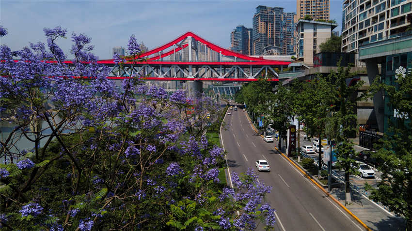 �{��ɫ���{��麺ͼtɫ������?gu��)r�����ӳ��Ȥ���ֺ��z