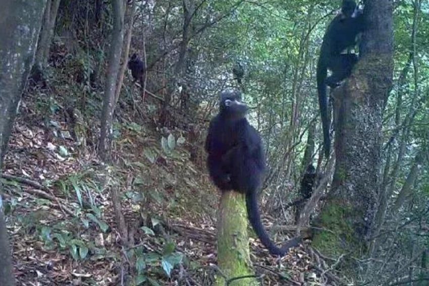 ���~��ؑc�ϴ����ɽ�����ؑc���֘I(y��)�ֹ��D