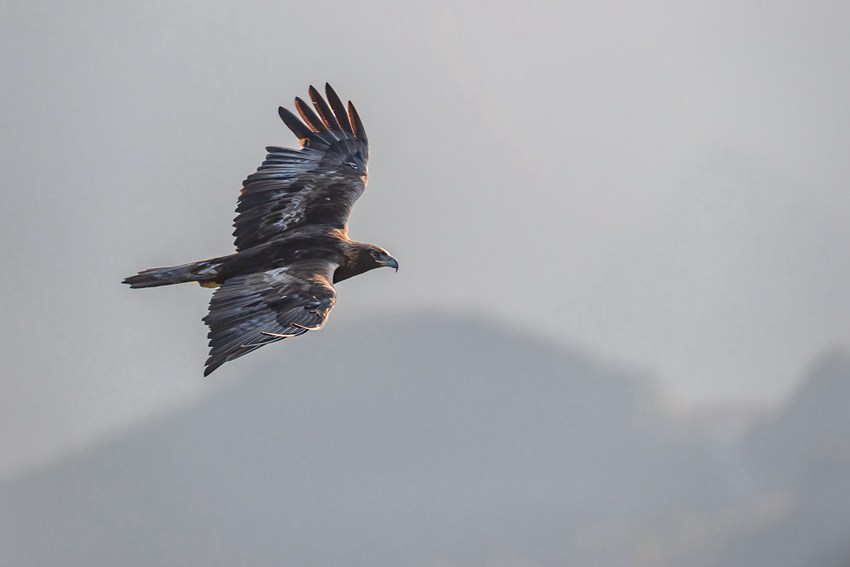 ����ؑc��ɽ�����ؑc���֘I(y��)�ֹ��D