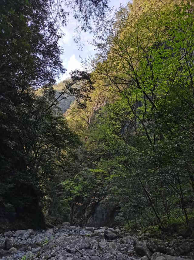 �뻨ɼ���О����{��^(q��)��ϡ�lΣֲ��������ؑcꎗl�X���Ҽ���Ȼ���o(h��)�^(q��)�����ֹ��D