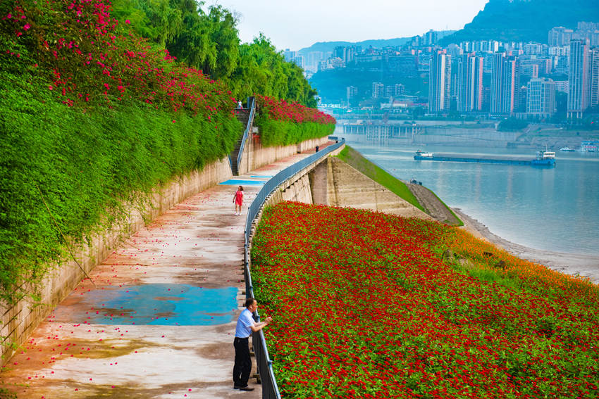 �ؑc�f���L(zh��ng)�����䎧���r���`�š���G�z