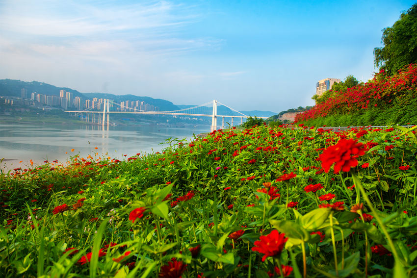 �f�ݽ����^(q��)�ϞI���@���L�����䎧���r���`������G�z