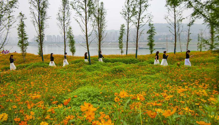 �������f�ݽ����^(q��)����������������Ƚ��܊�z