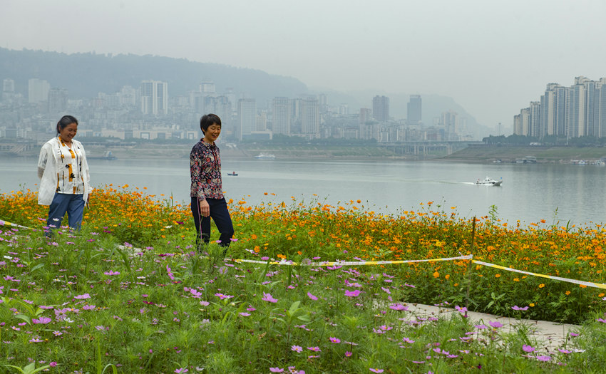 ���������䎧����������Ƚ��܊�z