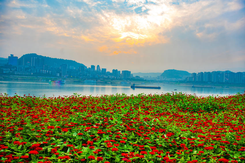 �f���L�����䎧���r���`������G�z