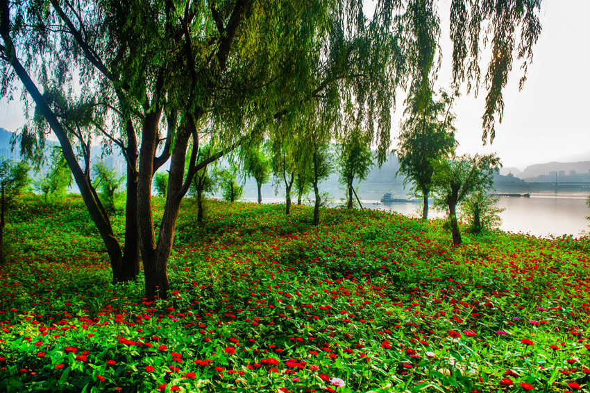 �f�ݽ����^(q��)�G�ⰻȻ���L��߅�r���c(di��n)�Y����G�z