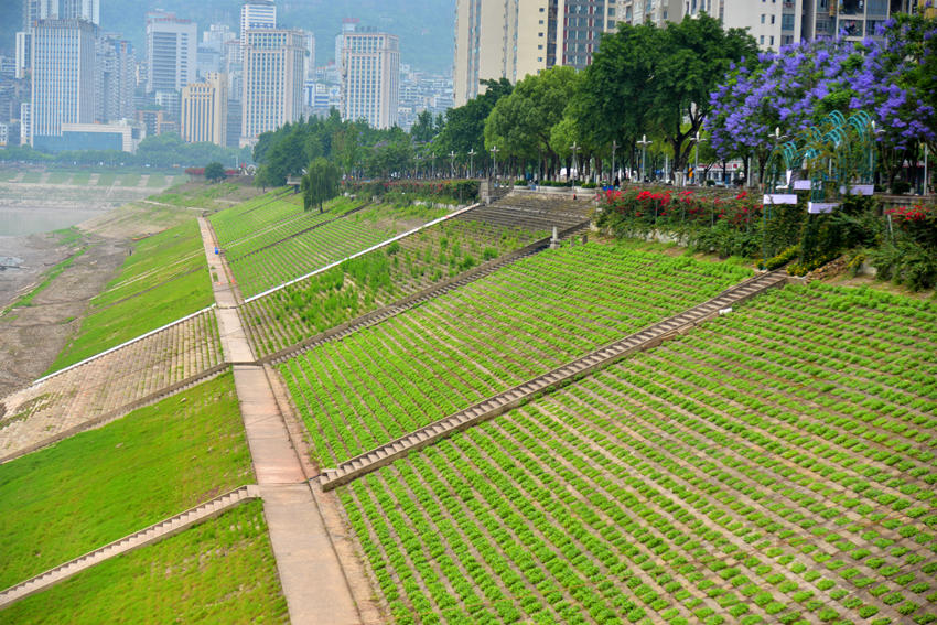 �f�݅^(q��)���I·���䎧�ϵ��r������6����Ѯʢ�_�������S�z