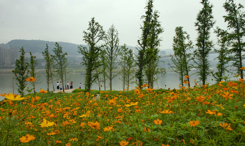 �f(w��n)�ݽ����^(q��)�������ɻ��ĺ�����Ƚ��܊�z