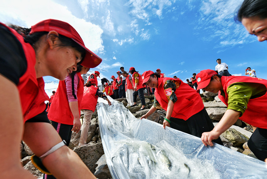 ���P(gu��n)�ˆT���~����뽭�С�����z