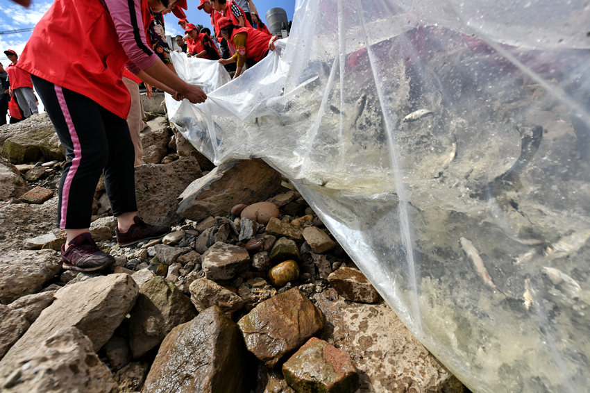 ���P(gu��n)�ˆT���~(y��)����뽭��������z