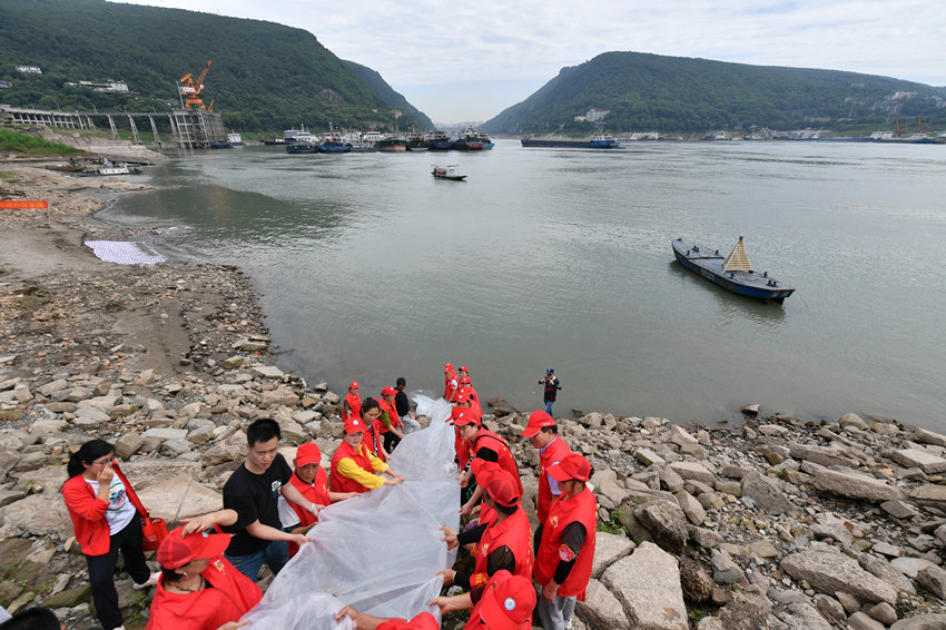 ���P(gu��n)�ˆT���~(y��)����뽭��������z