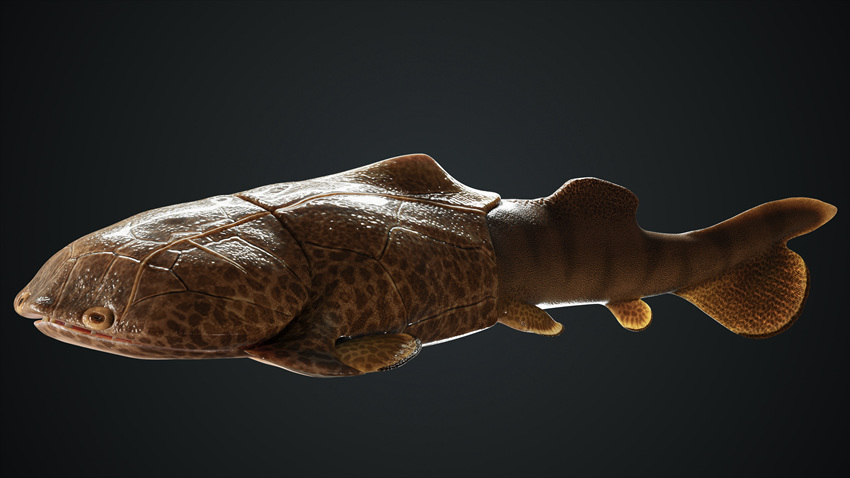 �����M�~�����߅���~����ʯģ�͡��ؑc��Ҏ(gu��)������Ȼ�YԴ�ֹ��D