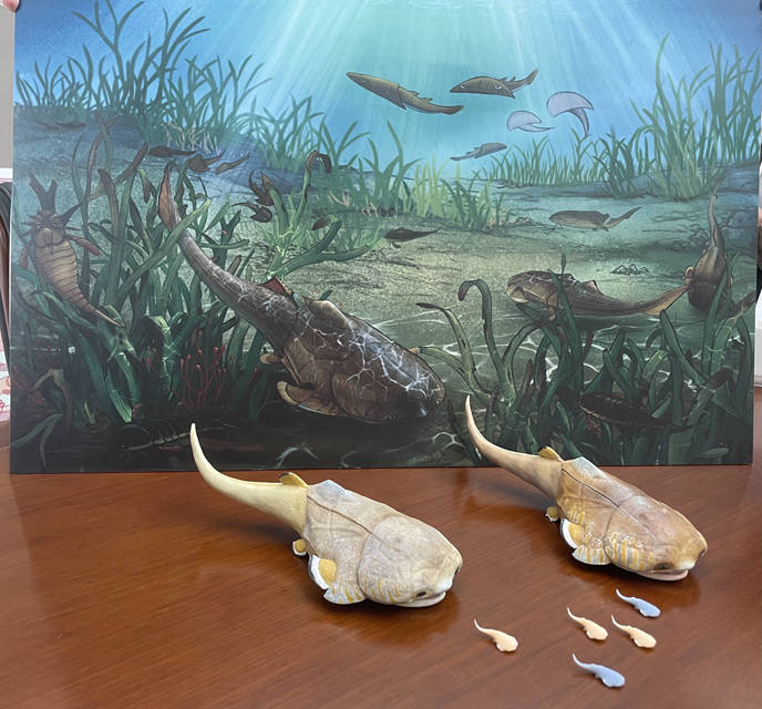 �����M�~�����߅���~����ʯģ�͡��ؑc��Ҏ(gu��)������Ȼ�YԴ�ֹ��D