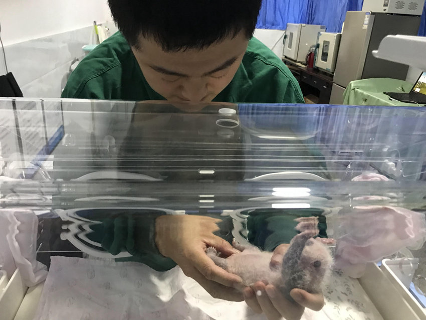 �����ˆT�����؈������ �ؑc��(d��ng)��@���D