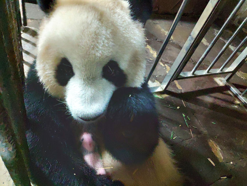 ��ç�С��������� �ؑc����@���D