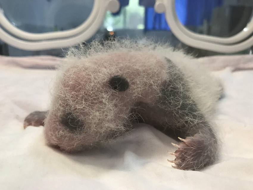 ��؈���С� �ؑc��(d��ng)��@���D