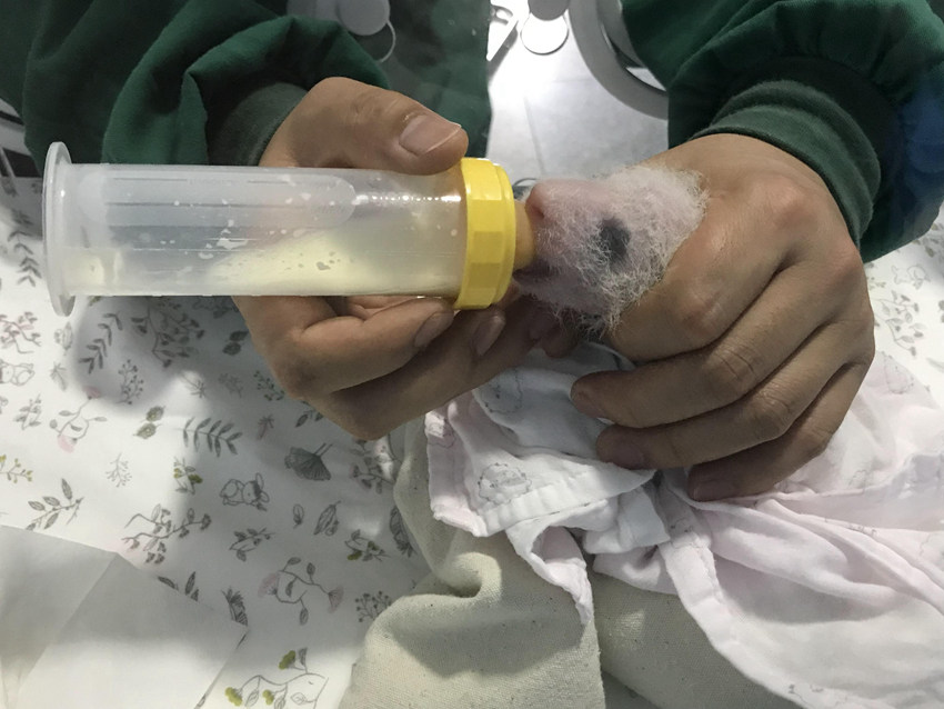 �����ˆT�����؈���С� �ؑc��(d��ng)��@���D