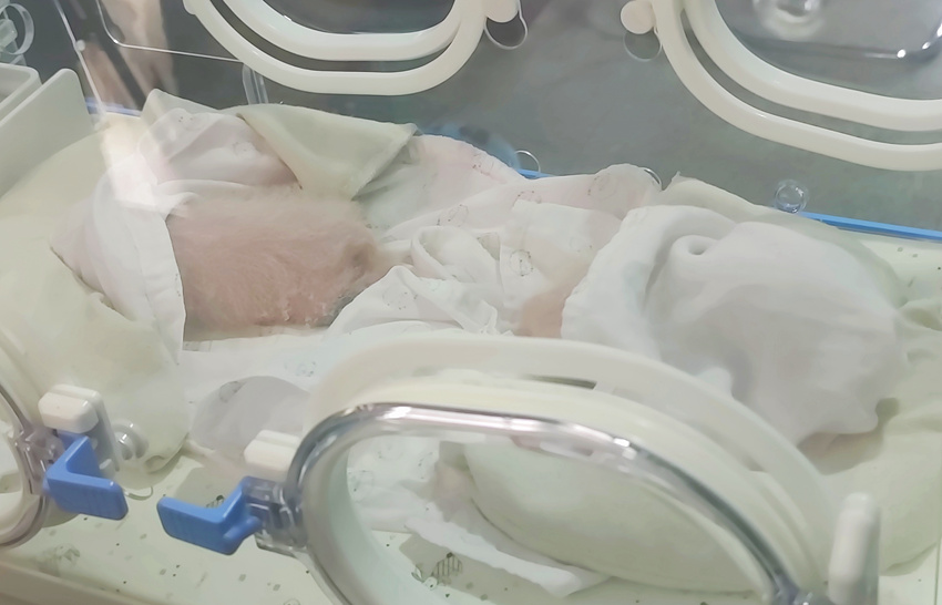 ��؈������ ��_�z