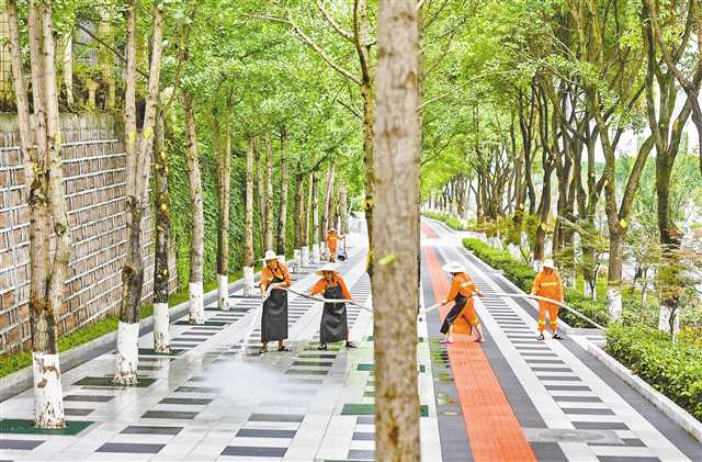 73�������е��Q�����b��