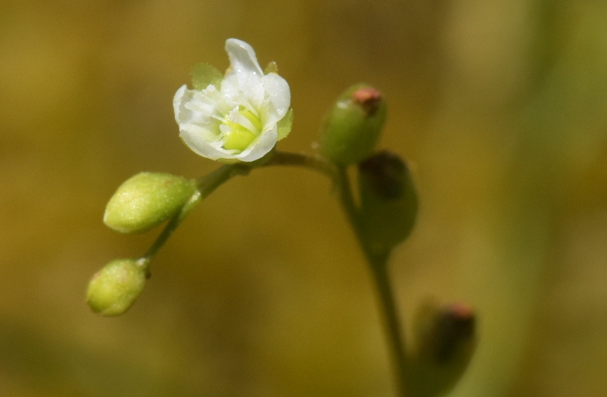 �A�~é��˵Ļ���ȫ�����ؑc�������Ҽ���Ȼ���o(h��)�^(q��)����̎���D