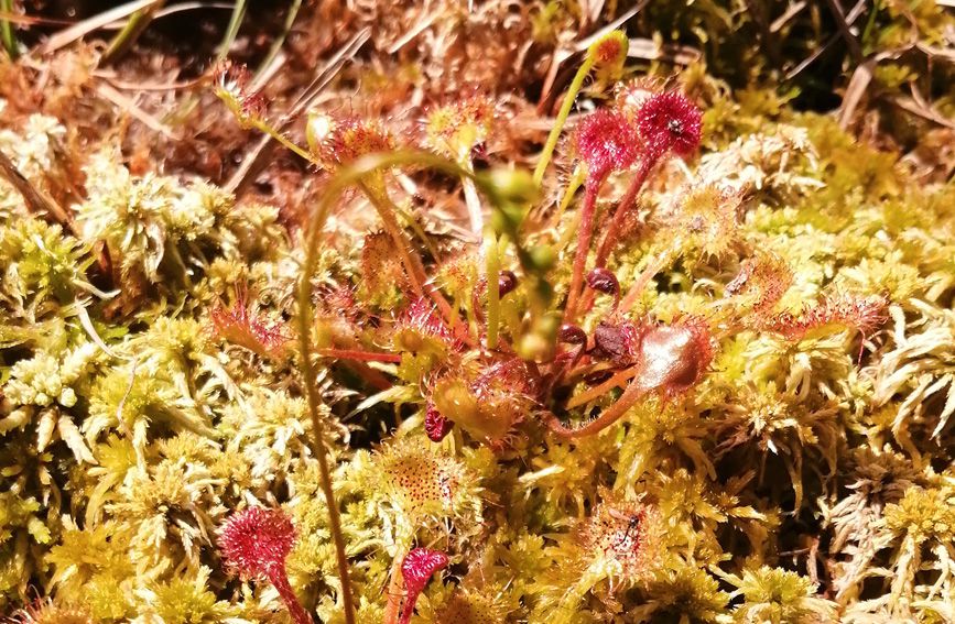 �ؑc�l(f��)�F(xi��n)��ӛ���N�����A�~é��� �ܳ��x