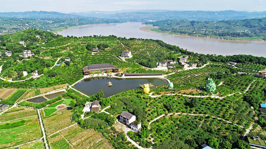 �ؑc���꣺�����l(xi��ng)�����箋(hu��)