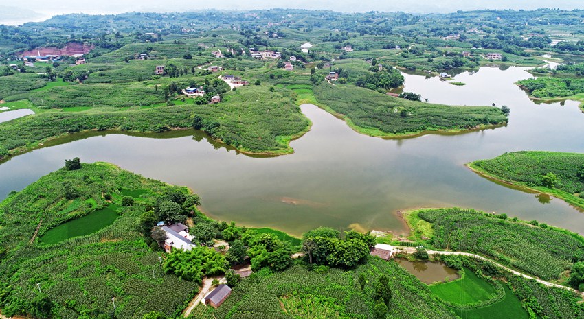 ����^(q��)��Ϫ�(zh��n)������l(xi��ng)���������S�Ӕz