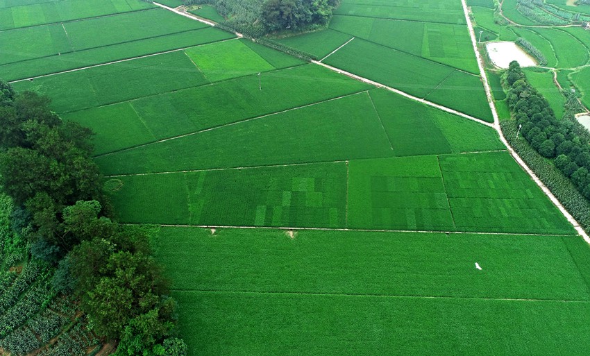 �������L��������^(q��)�R���(zh��n)�l(xi��ng)���L(f��ng)���������S�Ӕz