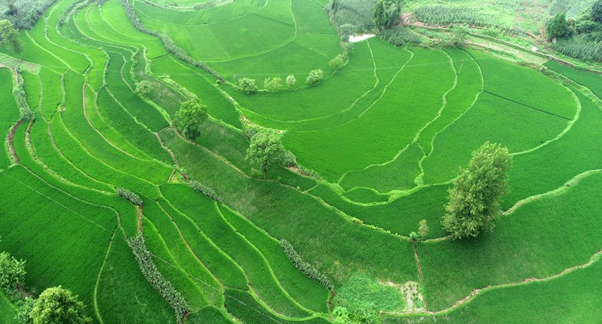 �R���(zh��n)��������ൾ��ӳ�r�l(xi��ng)���L(f��ng)�������S�Ӕz