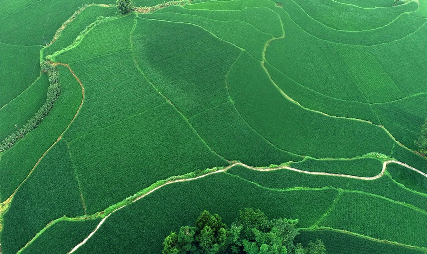 �������L��������^(q��)�R���(zh��n)�l(xi��ng)���L���������S�Ӕz