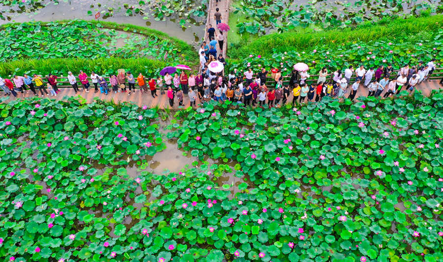 ����������L(zh��ng)�Ɣz