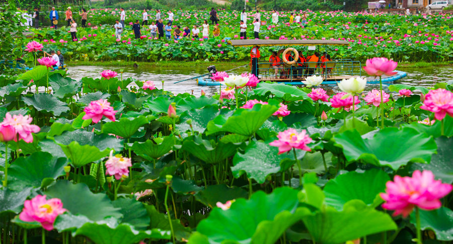 �ؑc�|���h�Q���(zh��n)��500�஀�ɻ�˯ɏ��(j��ng)��`�������L(zh��ng)�Ɣz