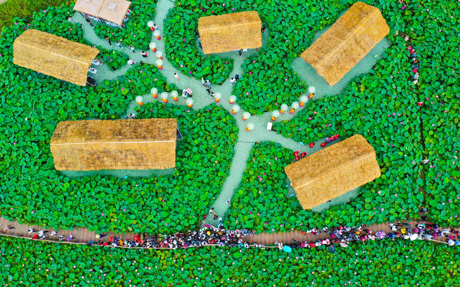 �B��������L(zh��ng)�Ɣz