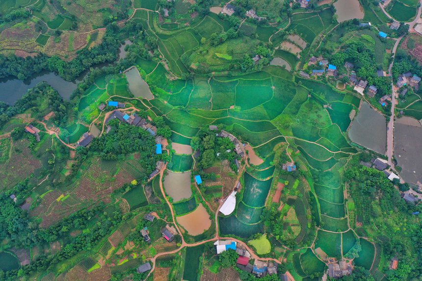 �Ŀ��и���ؑc�Иs���^(q��)�~���(zh��n)���K�廨���Nֲ���������c��֮�g�໥�B�ӣ�����һֻ���ߵġ��������_�Δz