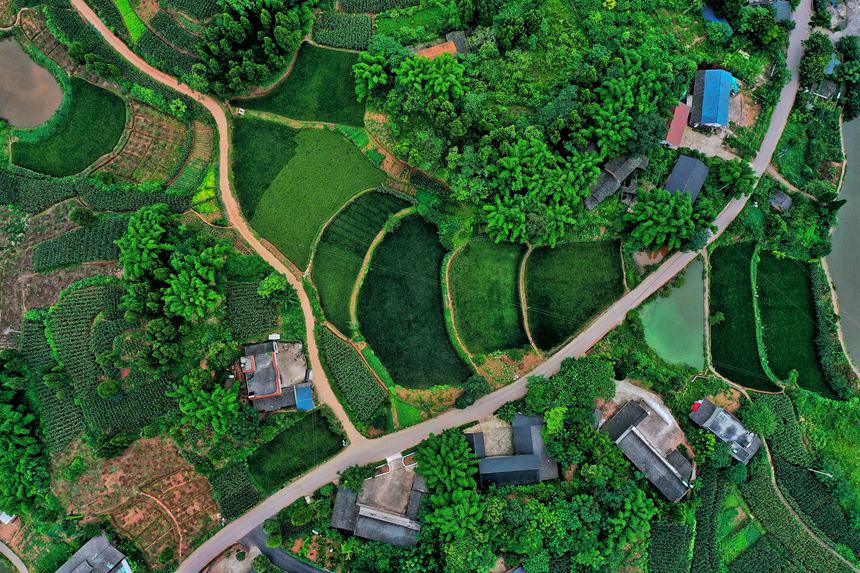 �Ŀ��и�����໥�B�ӵ���أ��Mƴ�ɡ����󡱵ăɗl�����_�Δz