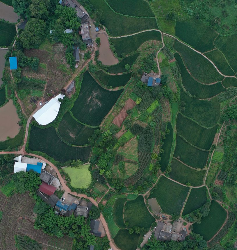 �Ŀ��и���໥�B�ӵ���أ��Mƴ�ɡ����󡱵ăɗl�����_�Δz