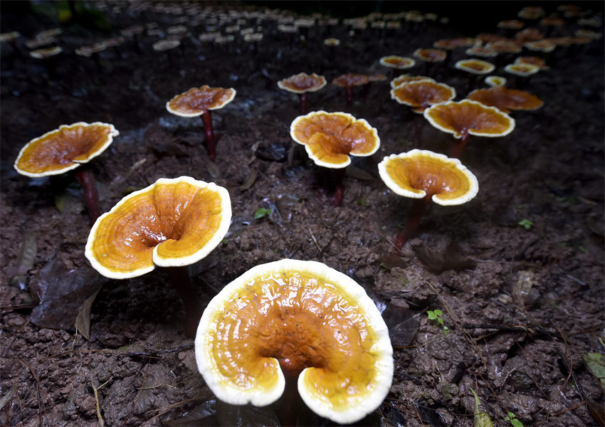 �`֥���_�e���������S�Ӕz