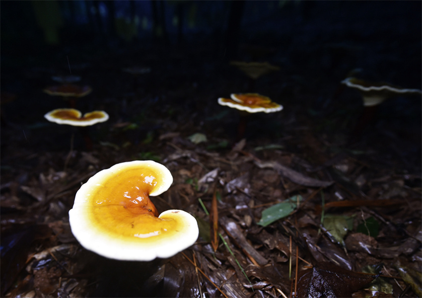 �`֥���_�����l(xi��ng)�����d���S�Ӕz