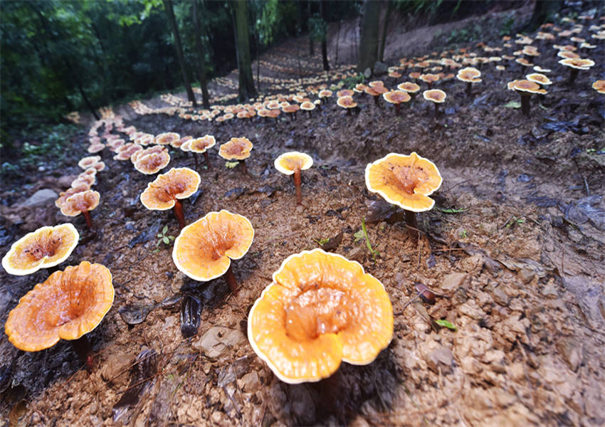 �`֥���_(k��i)������S�Ӕz