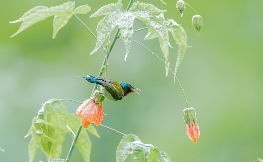 ��β̫��B���ؑc���ϴ��^(q��)���ɽ���¾��^(q��)���g���衱������������z