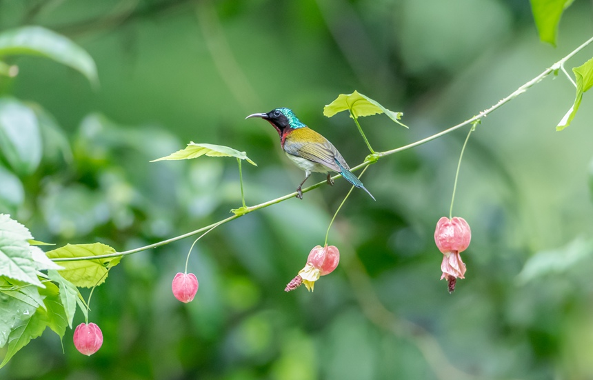 ��β̫��B���ؑc���ϴ��^(q��)���ɽ���¾��^(q��)���g���衱������������z