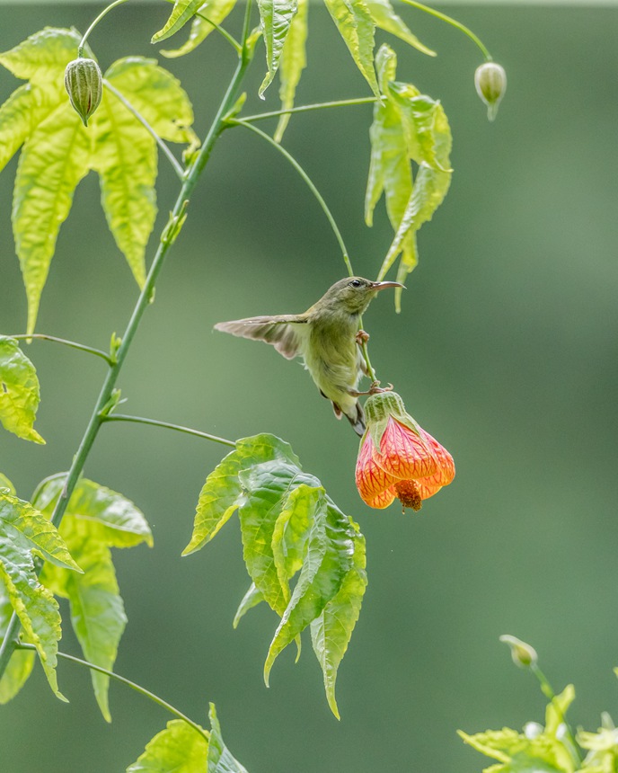 ��β̫�(y��ng)�B(ni��o)���ؑc���ϴ��^(q��)���ɽ���¾��^(q��)���g���衱������������z