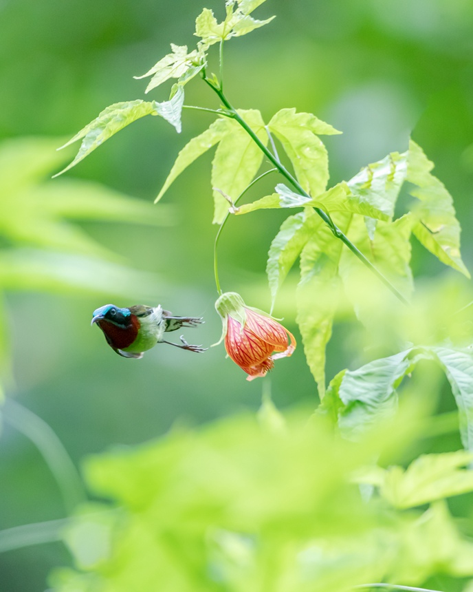 ��β̫��B���ؑc���ϴ��^(q��)���ɽ���¾��^(q��)���g���衱���档������z