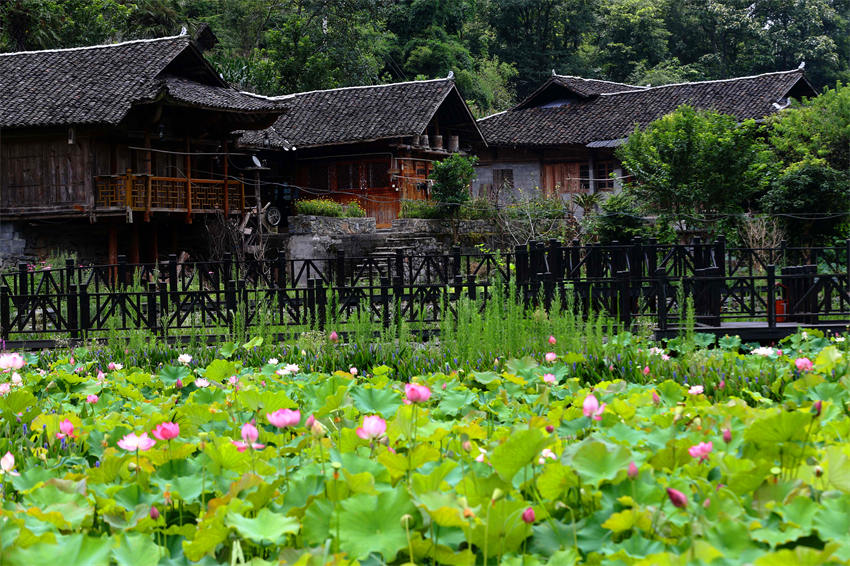 �ɻ���ӳ���_������կ����������z