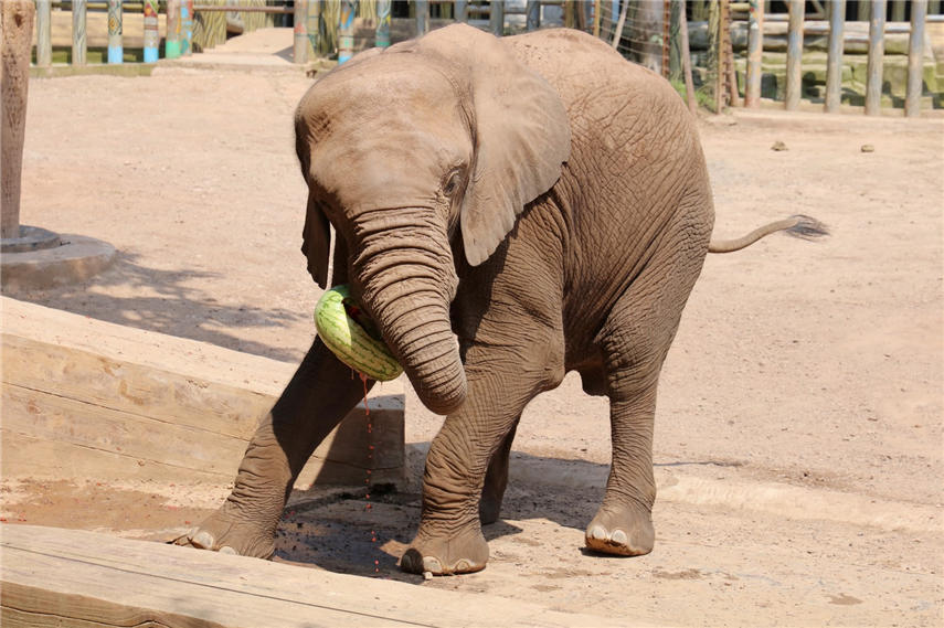 �������_�ߡ����Ӿ��������?sh��)Ȼ�ʽ�_�ϼ��g(sh��)�����ɽ� �z