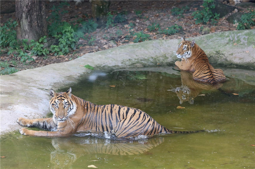 �ϻ�ˮ���б���������ɽ� �z