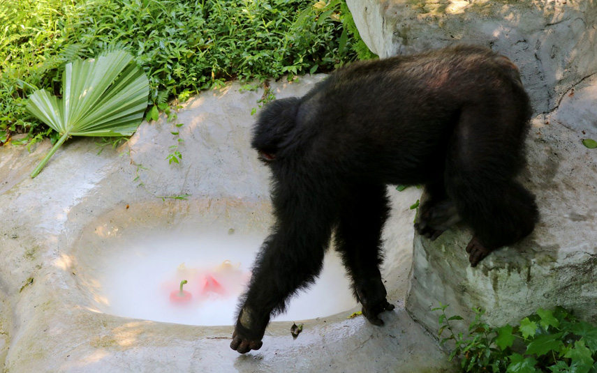 �����ˆT��������؄e��(zh��n)���ˡ�ˮ����偡������ɽ� �z