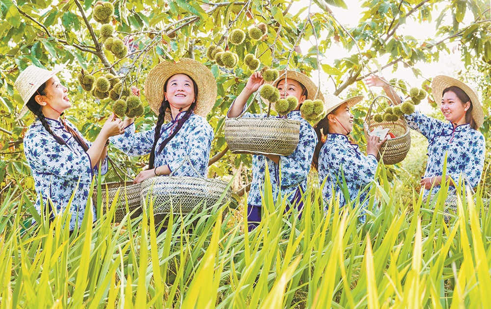 ����ժ���B(t��i)�����Ĕz���c(di��n)���ӈD�(zh��n)�Tƺ���������� �z��ҕ�X(ju��)�ؑc��